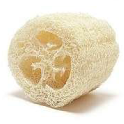 [BR2072] ESPONJA - VEGETAL CHICA